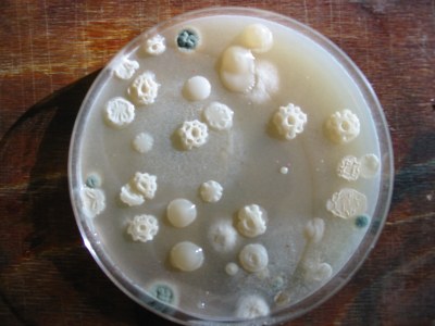 photo 57_IMG_1500.jpg