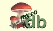 MycoDB.jpg
