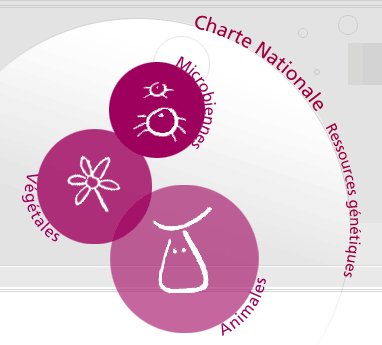 Ressources génétiques.jpg