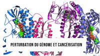 Perturbation du génome Icone