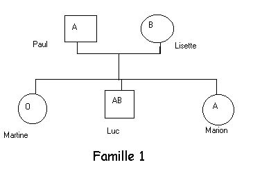 arbre généalogique de la famille 1