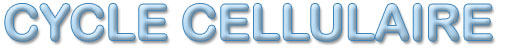 cycle-cellulaire.jpg