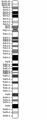 Chr5.gif