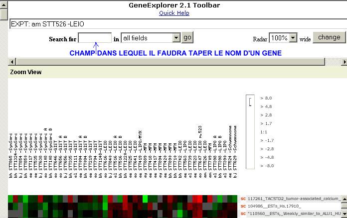 accueil gene explorer.JPG