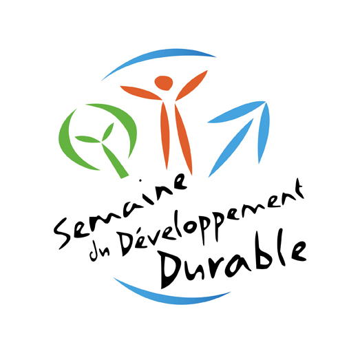 logo_sdd_2009.jpg