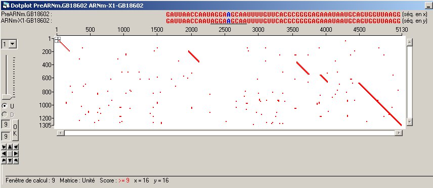 DotPlot-PreARNm-ARNm-X1-GB18602.jpg