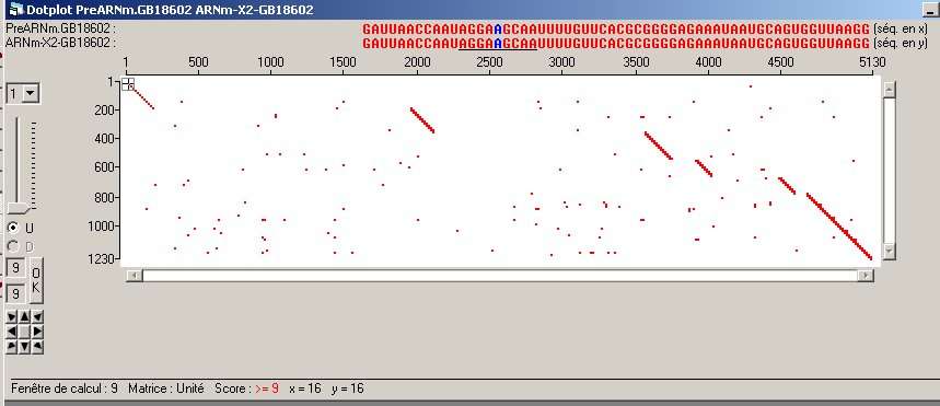 DotPlot-PreARNm-ARNm-X2-GB18602.jpg