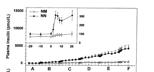 Insulinémie Clamp-New.jpg