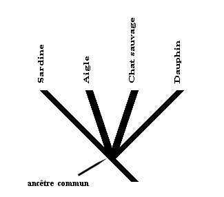 arbre1.jpg