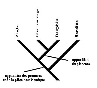 arbre4.jpg