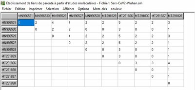 Matrice des distances - Wuhan.jpg