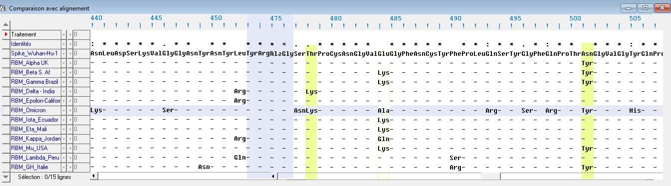 Positions des mutations dans RBM.jpg