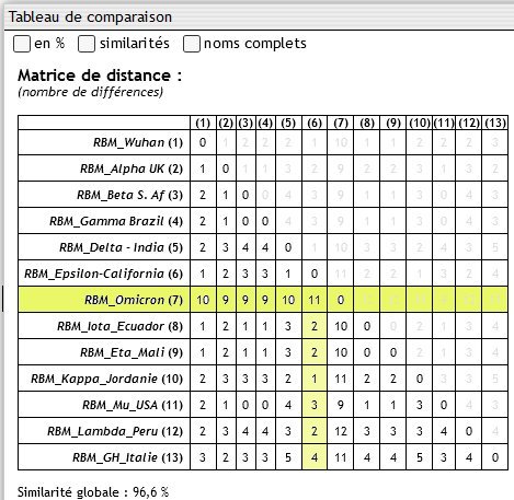 RBM - Matrice des distances.jpg
