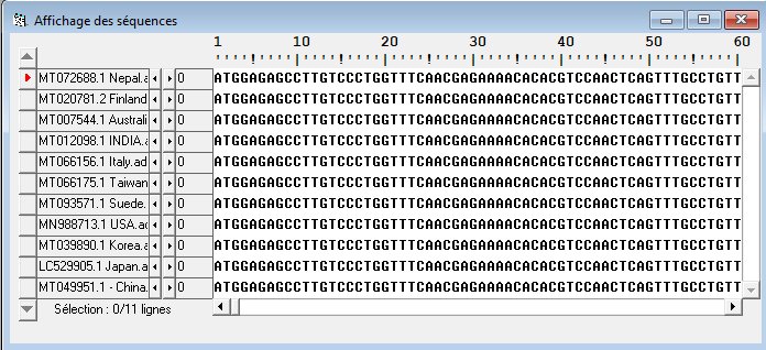 Anagène Coronavirus 2 bis