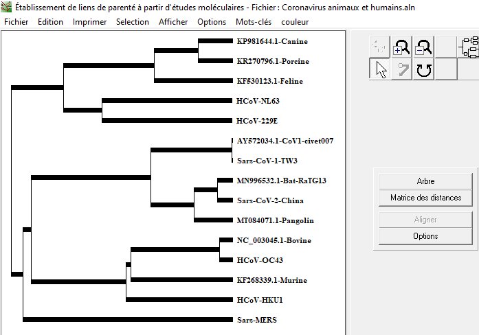 Arbre tous cov animaux et humains