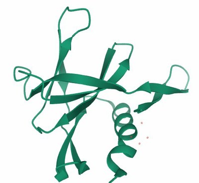 6W9Q Peptide bound SARS CoV 2 Nsp9 RNA replicase