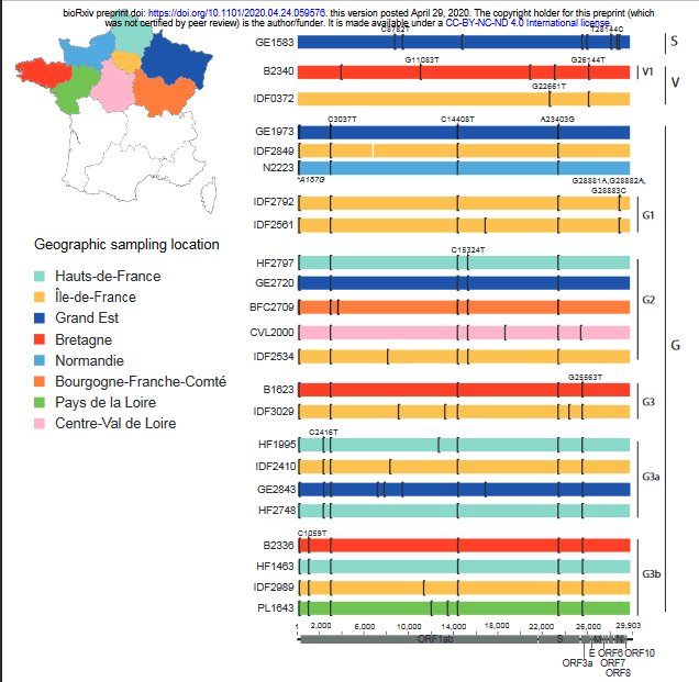 Découverte Pasteur  Répartition des mutations