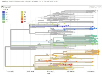 Arbre 356 séquences avec affichage des clades