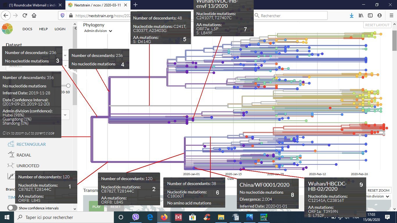 Arbre 356 séquences légendé