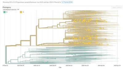 Données France. 204 séquences. Coloration par D614G.