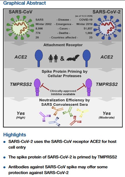 Hoffmann   Graphical abstract