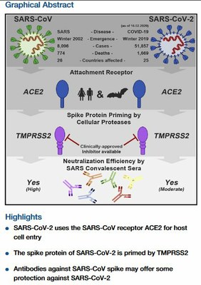Hoffmann   Graphical abstract