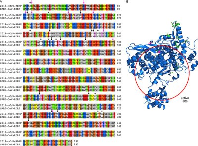 Morse Figure 3   RDRP