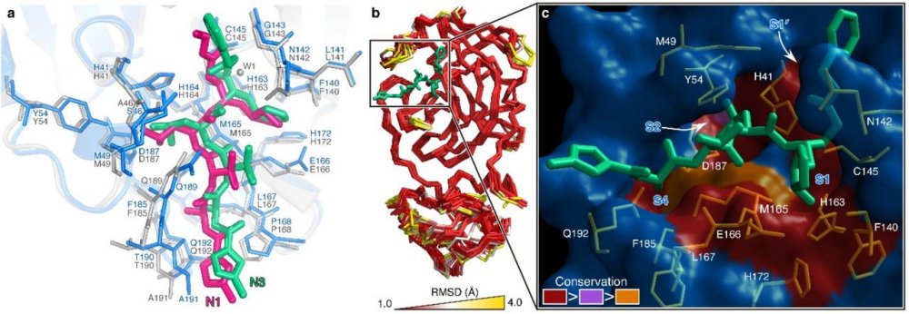 MPro NH3 NH1 Différentes espèces