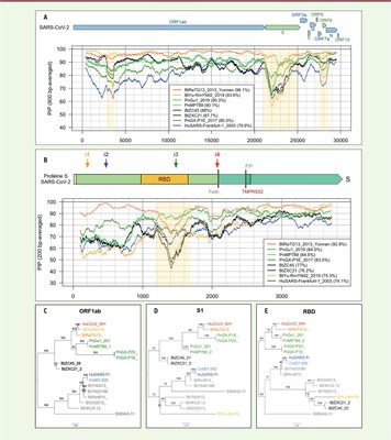 Image Medecine-Science.jpg