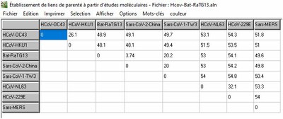Coronavirus humains et Bat RaTG13 Matrice