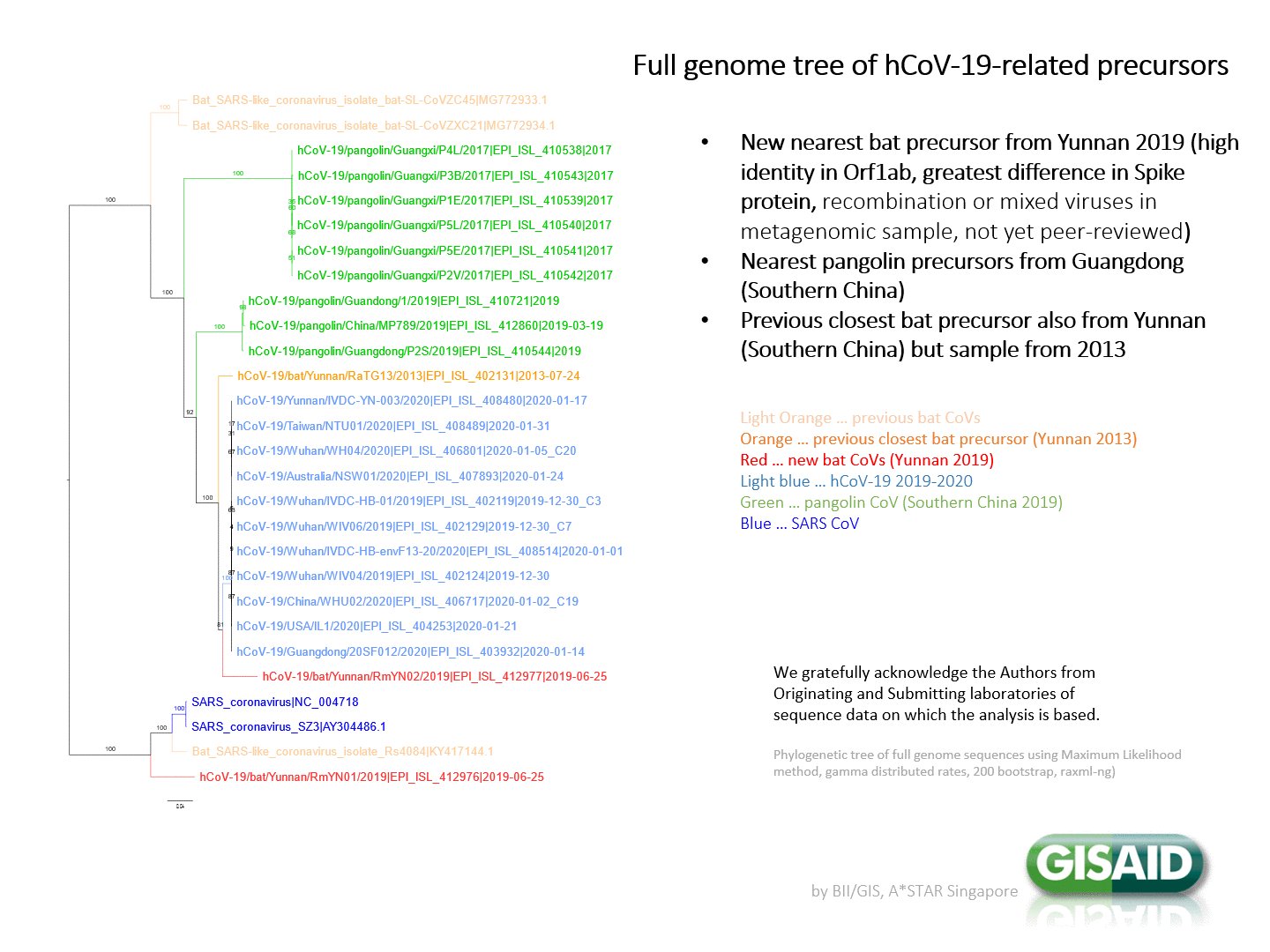 Sars CoV 2 précurseurs