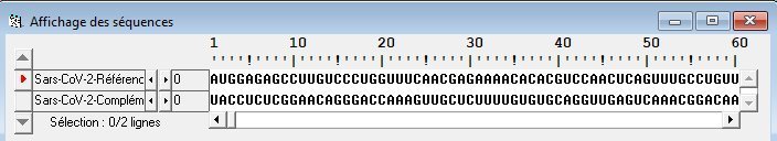Anagène-Sars-Cov-2-ARN-Référence et complémentaire.jpg