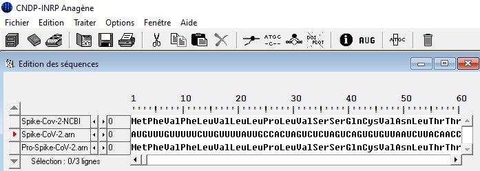 Anagène Spike CoV 2 ARN Protéine