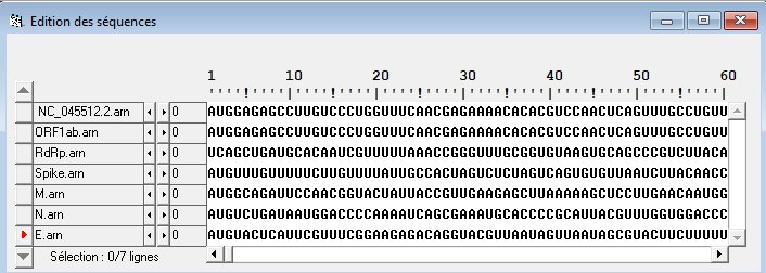 Anagène Tout Sars CoV 2 Nucléique