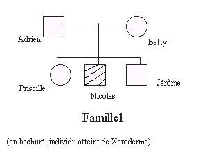 Famille1 Xeroderma