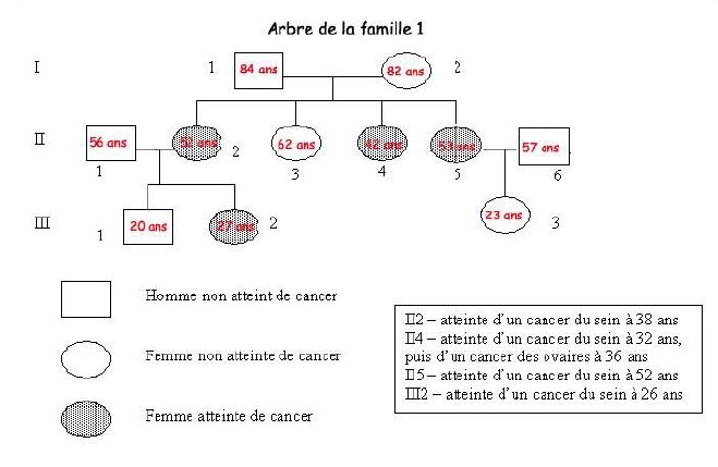 BRCA1 arbre famille1.jpg