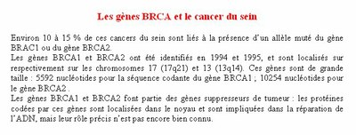 BRCA1 gènes.jpg