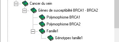 Cancer du sein 2.jpg