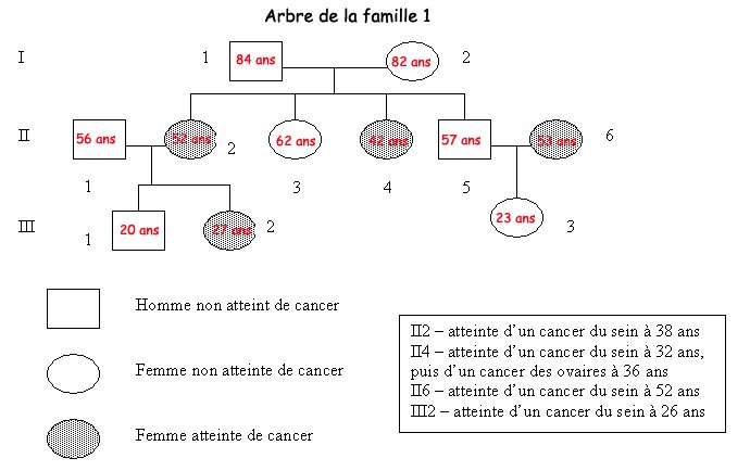 arbreFamille1cancer.jpg