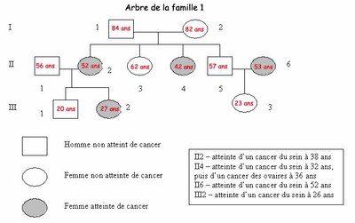 arbreFamille1cancer.jpg