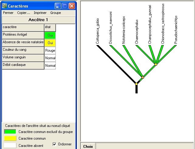Arbre poissons antarctique.jpg