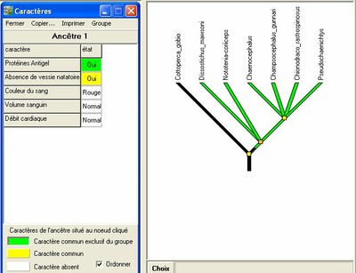 Arbre poissons antarctique.jpg