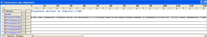 Comparaison chaînes bêta.jpg