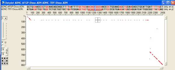Dotplot AFGP-Trypsinogène.jpg