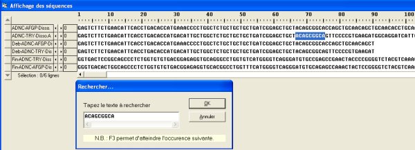 Motif dans trypsinogène.jpg