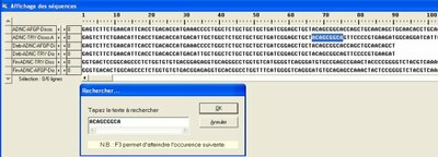 Motif dans trypsinogène.jpg