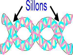 sillons
