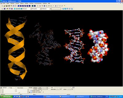 ADN représentations multiples.jpg