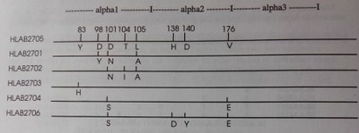 Différences protéiques