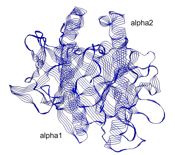 HLA A2 corbeille.jpg
